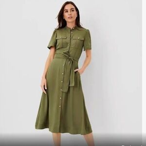 Ann Taylor Olive Green Dress